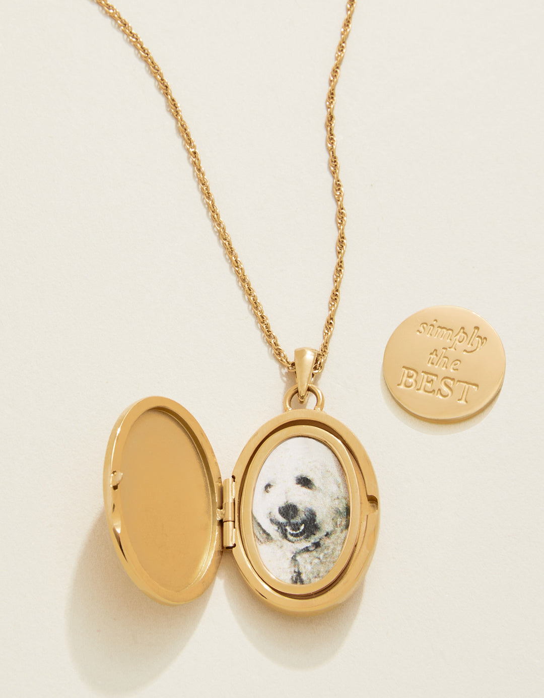 Mini Oval Locket Necklace 17