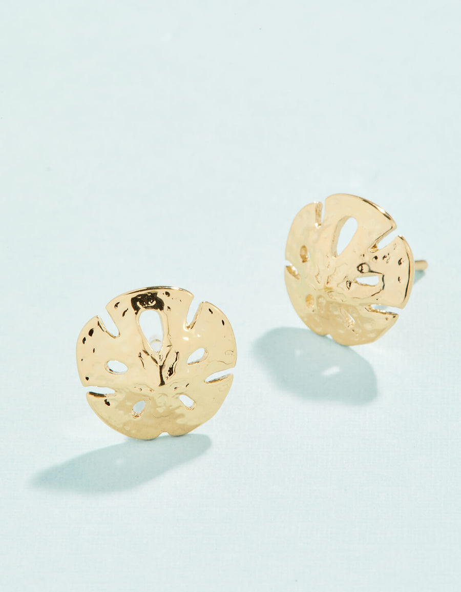 Sand Dollar Stud Earrings